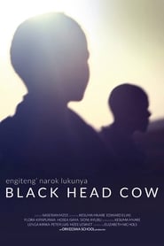 Black Head Cow' Poster