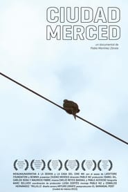Ciudad Merced' Poster