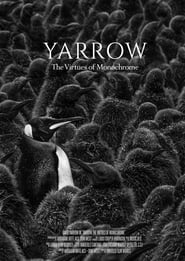 Yarrow The Virtues of Monochrome' Poster