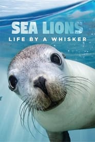 Streaming sources forSea Lions Life by a Whisker