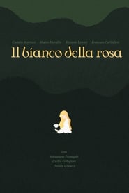 Il bianco della rosa' Poster