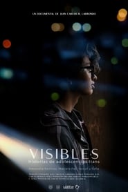 Visibles Historias de Adolescencias Trans' Poster