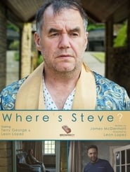 Wheres Steve' Poster