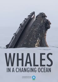 Whales in a Changing Ocean' Poster