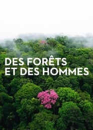 Forests and People' Poster