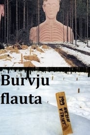 Burvju flauta' Poster