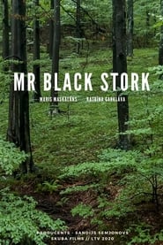 Mr Black Stork' Poster