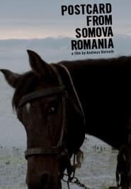 Postcard from Somova Romania' Poster
