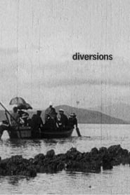 Diversions' Poster
