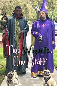 Two Wizards One Staff