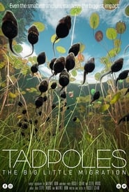 Tadpoles The Big Little Migration' Poster