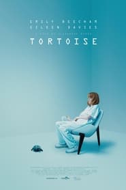 Tortoise' Poster