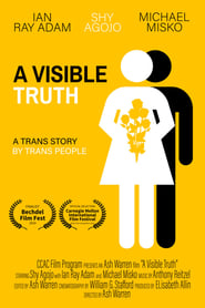 A Visible Truth' Poster