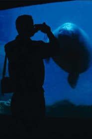 The Aquarium' Poster