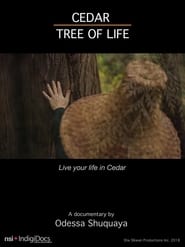 Cedar Tree of Life' Poster