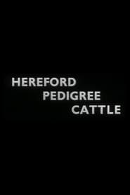 Hereford Pedigree Cattle' Poster