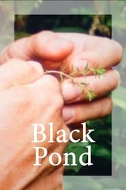 Black Pond' Poster