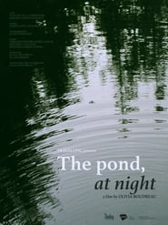 The Pond at Night