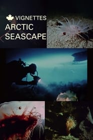 Canada Vignettes Arctic Seascape' Poster