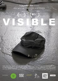 Visible' Poster