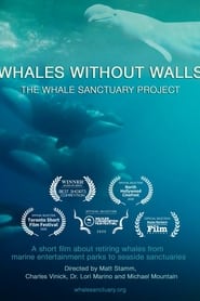 Whales Without Walls' Poster