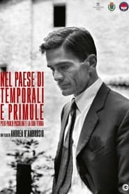 Nel paese dei temporali e delle primule' Poster