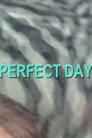 Perfect Day' Poster