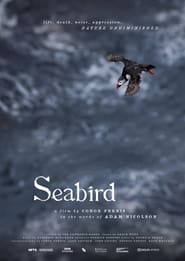 Seabird' Poster