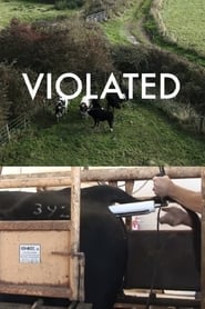 Violated' Poster