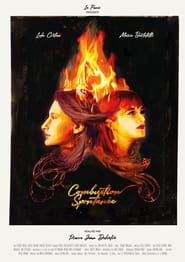 Spontaneous Combustion' Poster