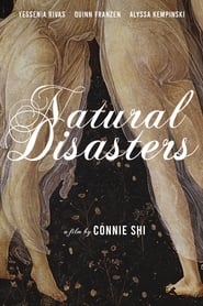 Natural Disasters' Poster