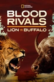 Blood Rivals Lion vs Buffalo Buffalo Fortress' Poster