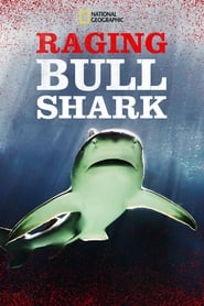 Raging Bull Shark' Poster