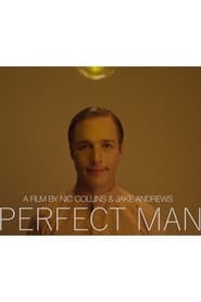 Perfect Man' Poster