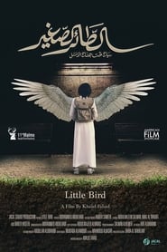 Little Bird' Poster