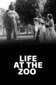 Life at the Zoo' Poster