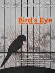 Birds Eye' Poster