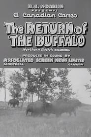 Return of the Buffalo' Poster