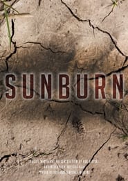 Sunburn' Poster