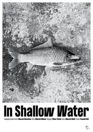 In Shallow Water' Poster