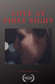 Love at First Sight' Poster