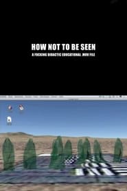 How Not to Be Seen' Poster