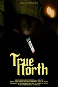 True North' Poster