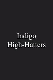 Indigo HighHatters' Poster