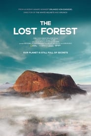 The Lost Forest' Poster