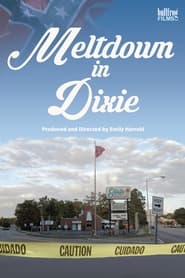 Meltdown in Dixie' Poster