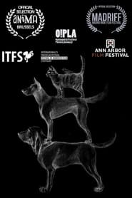 Dogs Field' Poster