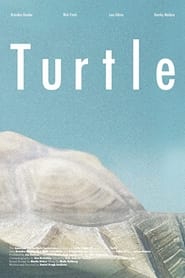 Turtle' Poster