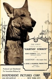 Lightnin Strikes' Poster