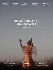 Incalculable Unknowns' Poster